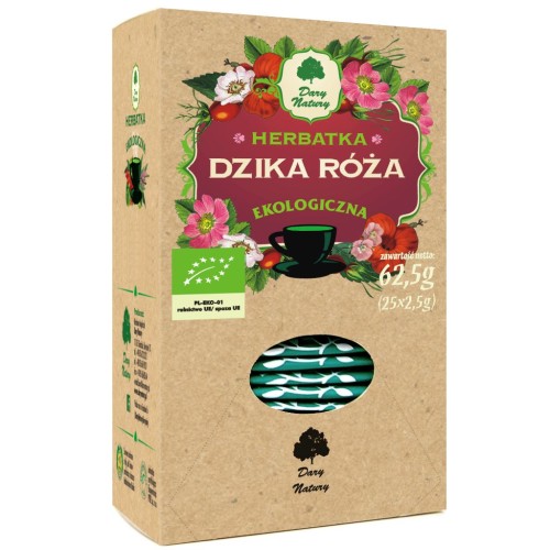 dzika róża.jpg