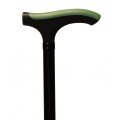 t-advance-walking-stick (1).jpg
