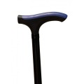 t-advance-walking-stick (2).jpg