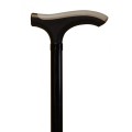 t-advance-walking-stick.jpg